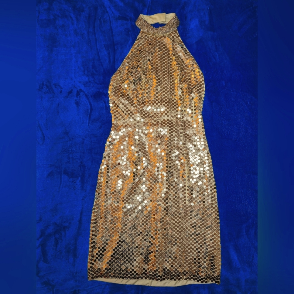 Cache sequined vintage gown size 4 needs some love.  The price will reflect it.